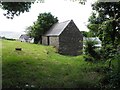 Old farm building, Glencoppagh