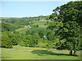 View from Cow Lane