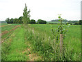 Footpath on the edge of Parham airfield