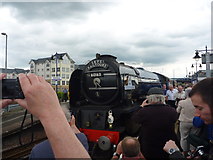 NS7993 : SRPS Forth Circle Steam Special 2013 : Platform Pufferazzi by Richard West