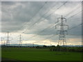 Forth Landscapes : Under The Wires Near Kilbagie