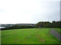 Cleddau Bridge and canon