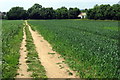 Footpath into Wardhedges