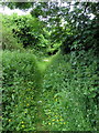 Footpath to Barton Road