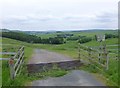 Cattle grid on road to Ewartly Shank