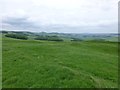 In Castle Hill hillfort