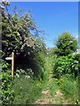 Footpath between fields, Fenwick Granary