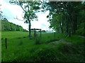 Field and woodland near Ardlussa House