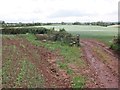 Water trough in field corner