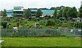 Hereford allotments