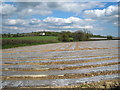 Plastic covered field at Trewarlett