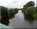 Wye upstream from Hunderton Bridge, Hereford