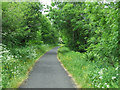 Cycle path at Elderslie