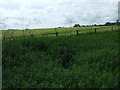 Field near Linwood