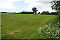 Cut field near Low Gate Farm