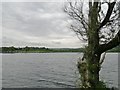 Combs Reservoir