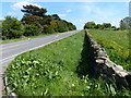 Dry stone wall along the road to Copt Oak