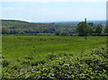 Countryside near Abbot