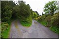 R6780 : Fork in the road from Ballylaghnan, Co. Clare by P L Chadwick