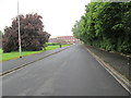 High Moor Avenue - viewed from Football Ground