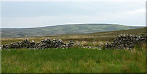 NY9746 : Derelict wall crossing moorland by Trevor Littlewood
