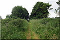 Footpath to the A 507