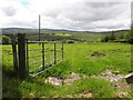 An open field, Tullycar