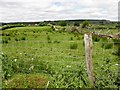 Ballymongan Townland