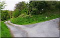 R6678 : View down track from road to Ballybroghan, Co.Clare by P L Chadwick