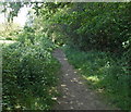 Wye Valley Walk, Boughrood