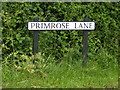 TM4681 : Primrose Lane sign by Geographer