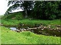 Stepping stones across the River Wansbeck