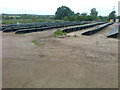 Solar panels at Paynsley chicken farm