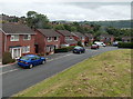 Cwm Llanfair houses, Newtown