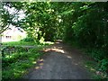 Tiverton : Tidcombe Lane Path