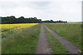 SU4255 : Track towards Sladden Green Farm by Mr Ignavy