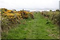 Transverse footpath, Grune Point