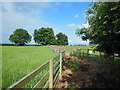 A footpath leading to Low Lane