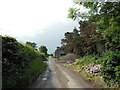 The Avenue from Low Lane