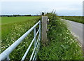 Gate and hedge near Odstone Barn Farm