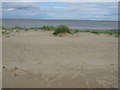 Beach and dunes, Sandilands