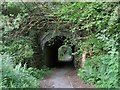 SN6913 : Railway underpass in Glangarnant by Nigel Davies