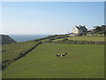 Paddock above the valley at Tintagel