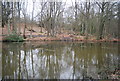 Winding hole, Basingstoke Canal