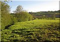 Meadow by the Yarty