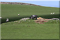 Farmland at Garrochtrie