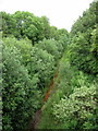 Disused railway cutting