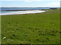 NB4840 : Grass beside the beach by James Allan
