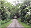 Straight road through Croxby Pond Plantation