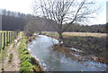 TQ5567 : Darent Valley Path by the River Darent by N Chadwick